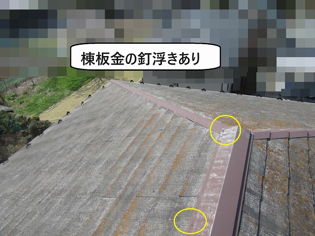 富士河口湖町でアスベスト入りスレート屋根の棟板金の釘抜け、藻やコケの発生を確認